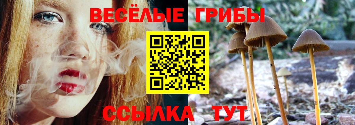 Галлюциногенные грибы ЛСД  Галлюциногенные грибы MAGIC MUSHROOMS  Вход с VPN  Воронеж 